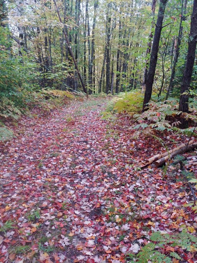 Spacious Country Retreat Close To Town And Nature, Sylvana Farm Vt Montpelier Exterior foto