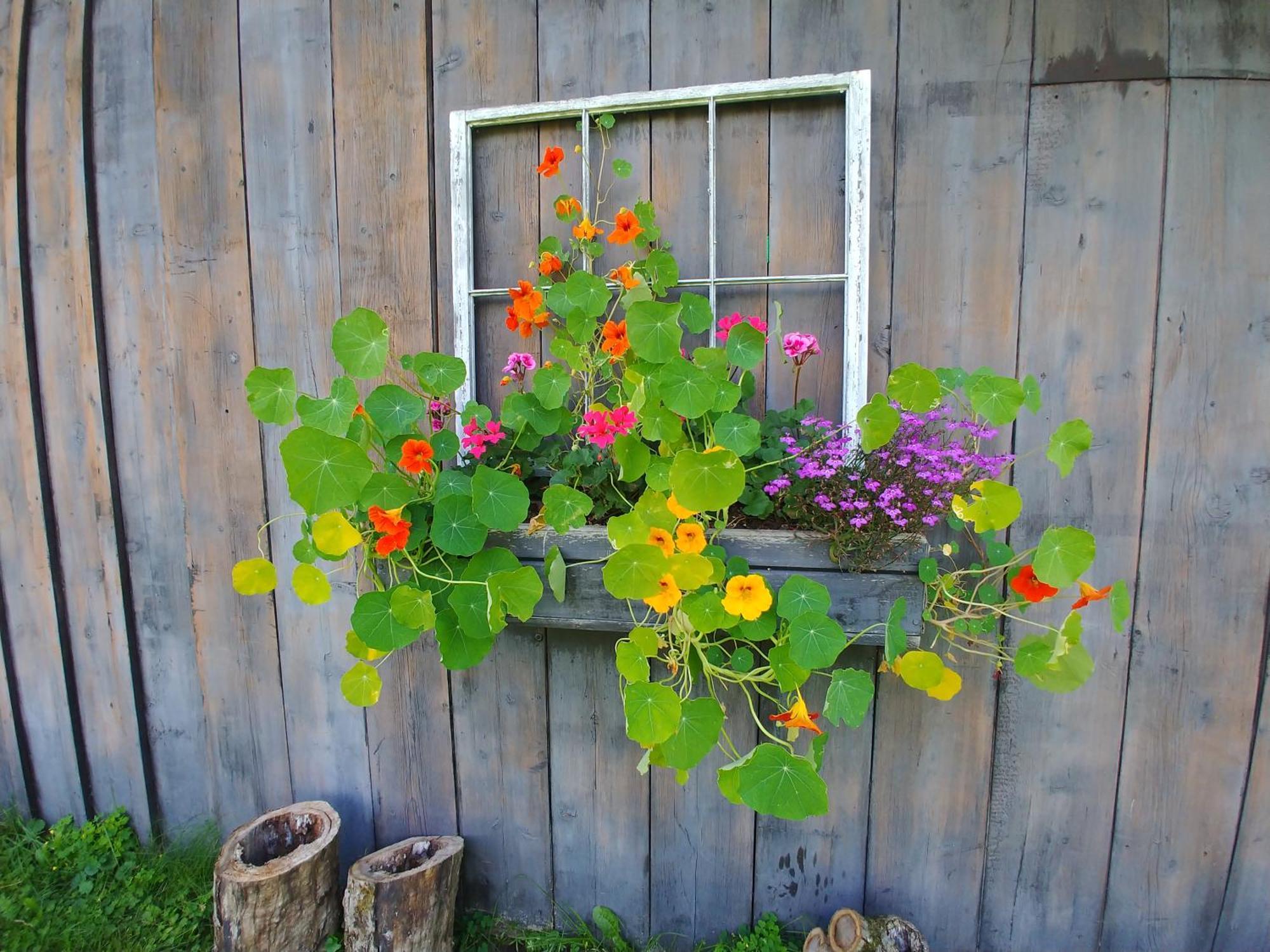 Spacious Country Retreat Close To Town And Nature, Sylvana Farm Vt Montpelier Exterior foto